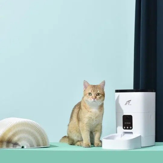 Alimentador Automático para Animais de Estimação JWCOM SMART JW4L-W